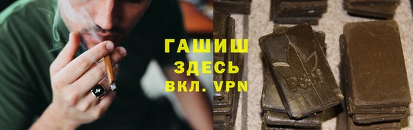 spice Богданович