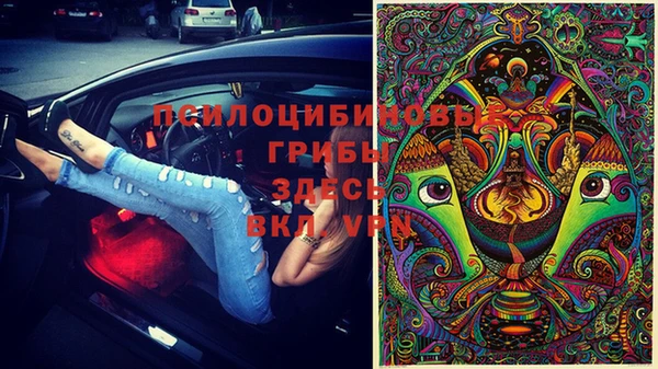 эйфоретик Бородино