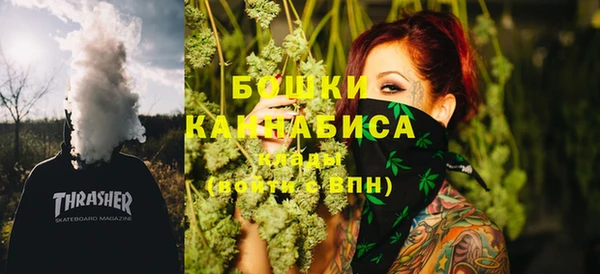 apvp Богородицк