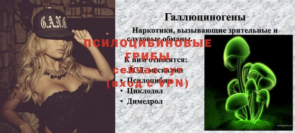 apvp Богородицк