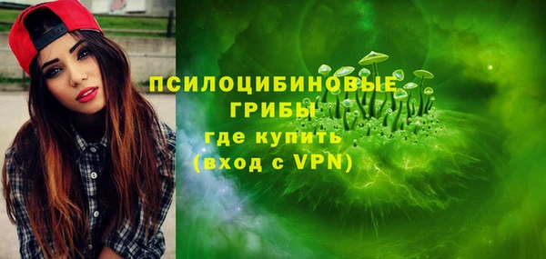 ПСИЛОЦИБИНОВЫЕ ГРИБЫ Богородск