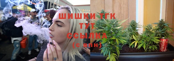 spice Богданович
