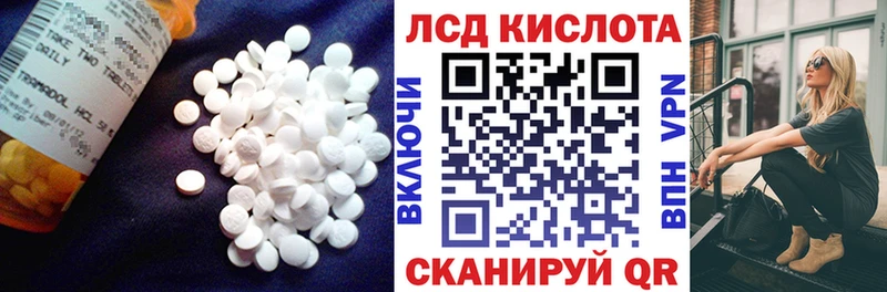 shop клад Железногорск-Илимский Лсд 25 экстази ecstasy