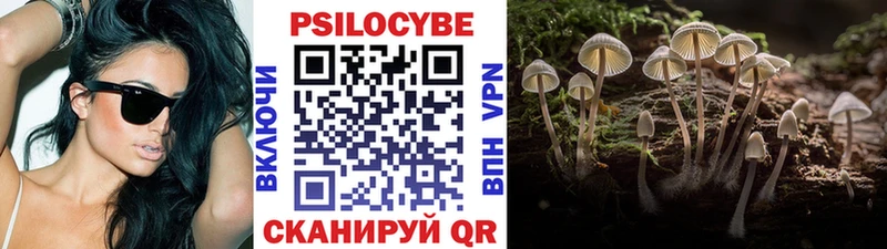 Галлюциногенные грибы MAGIC MUSHROOMS Железногорск-Илимский